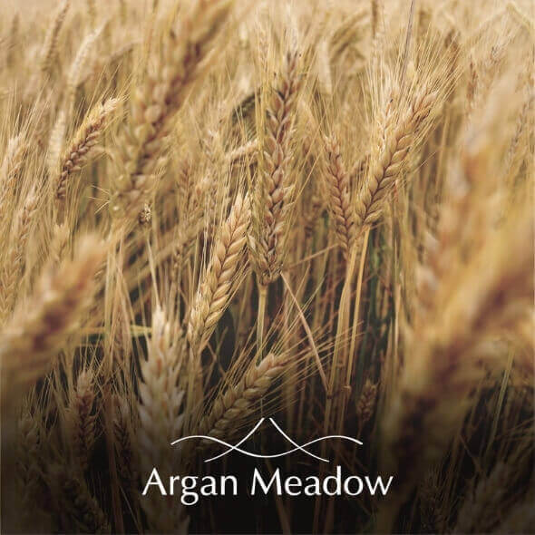https://910008000.com/lande/pt/marcas-2/argan/