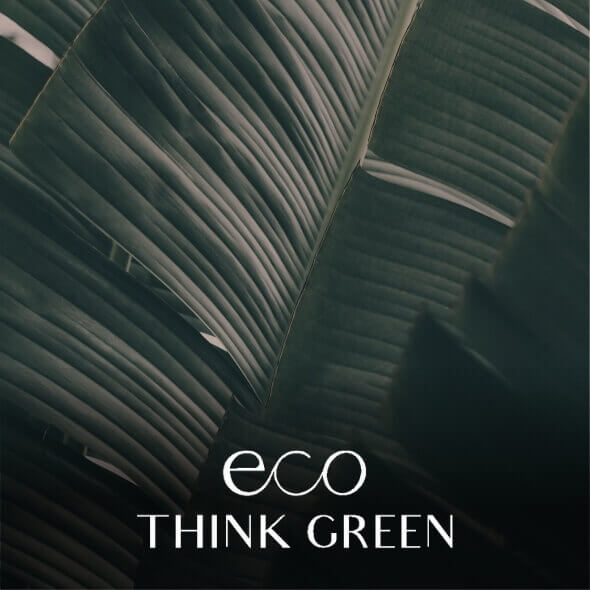 https://910008000.com/lande/pt/marcas-2/eco-think-green/