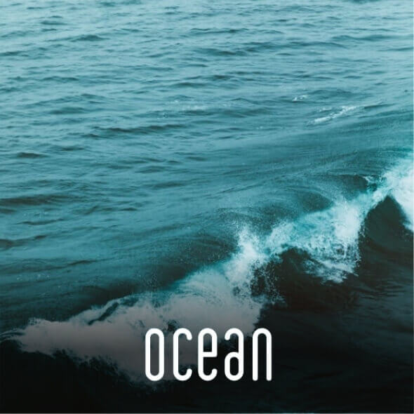 https://910008000.com/lande/pt/marcas-2/ocean/